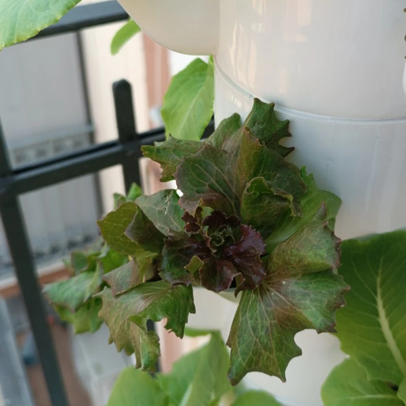 Fioriere idroponiche verticali fai-da-te Balcone Coltura fuori suolo Fioriera a torre Sistema di coltivazione idroponica Attrezzatura per piantare ortaggi - immagine 5