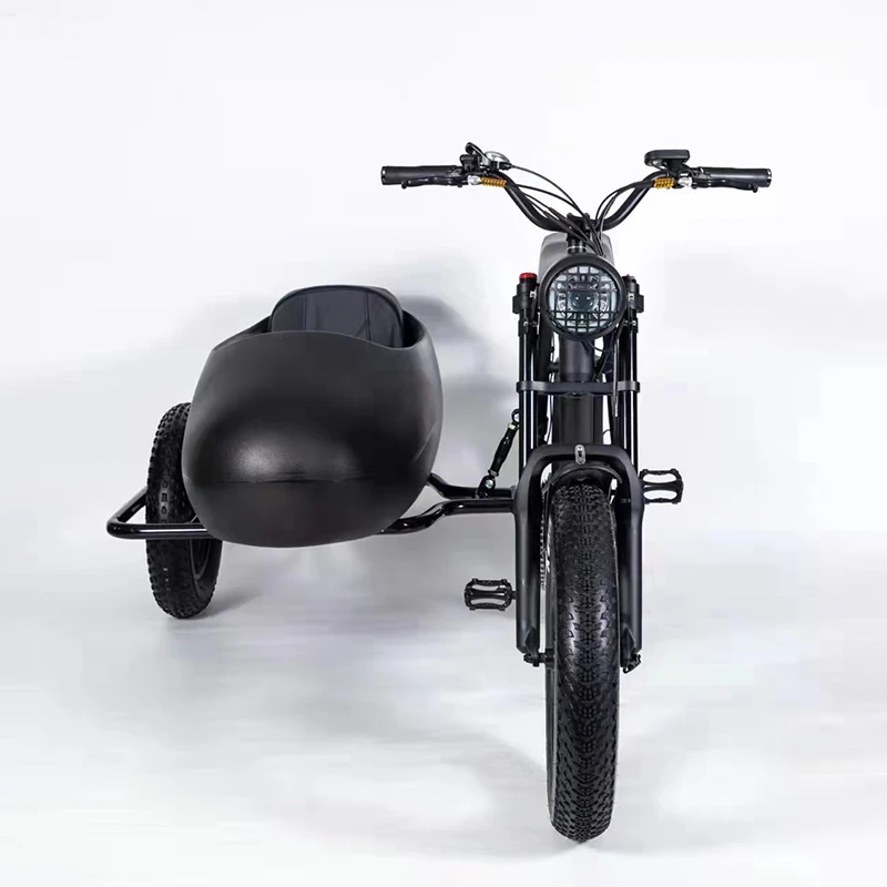 Factory OEM 3 wheel Electric bike adult electric tricycles sidecar, can