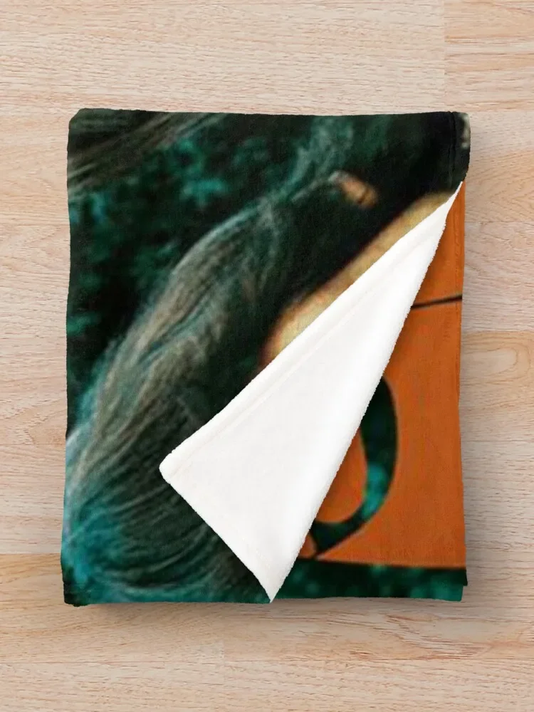 ���� �ҿ� ������ ���, ������ �ܿ� �ε巯�� ħ��, ���� ���