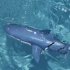Funny RC Shark Toy Remote Control Animal Bath Tub Pool Electric Toys for Kids Boys Children Cool Stuff Sharks Submarine 5