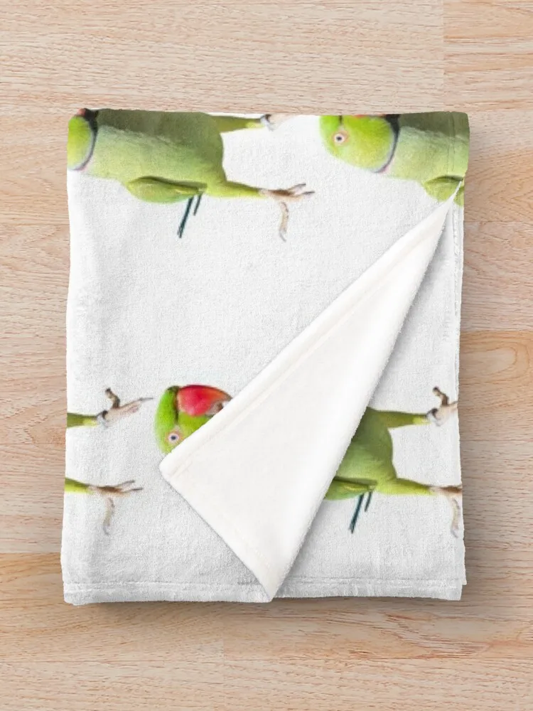 Zap �� �ƿ� �ٵ�, ���� ���, ���� ���� ���, ǫ���� ���