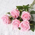 Silk cloth G5