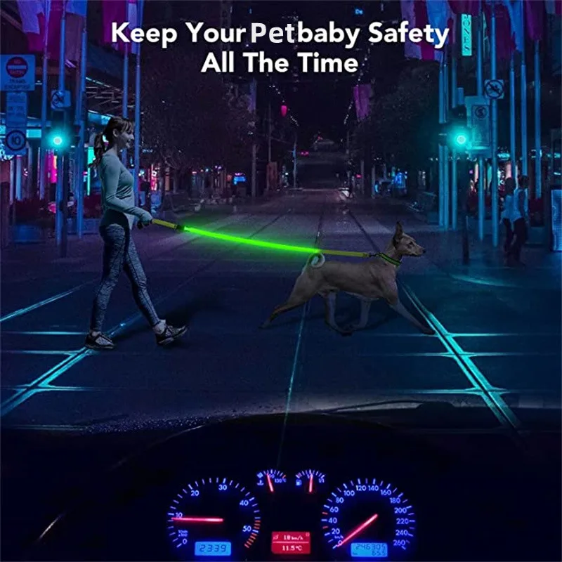 Glowing Led Dog Leash Usb Rechargeable 4