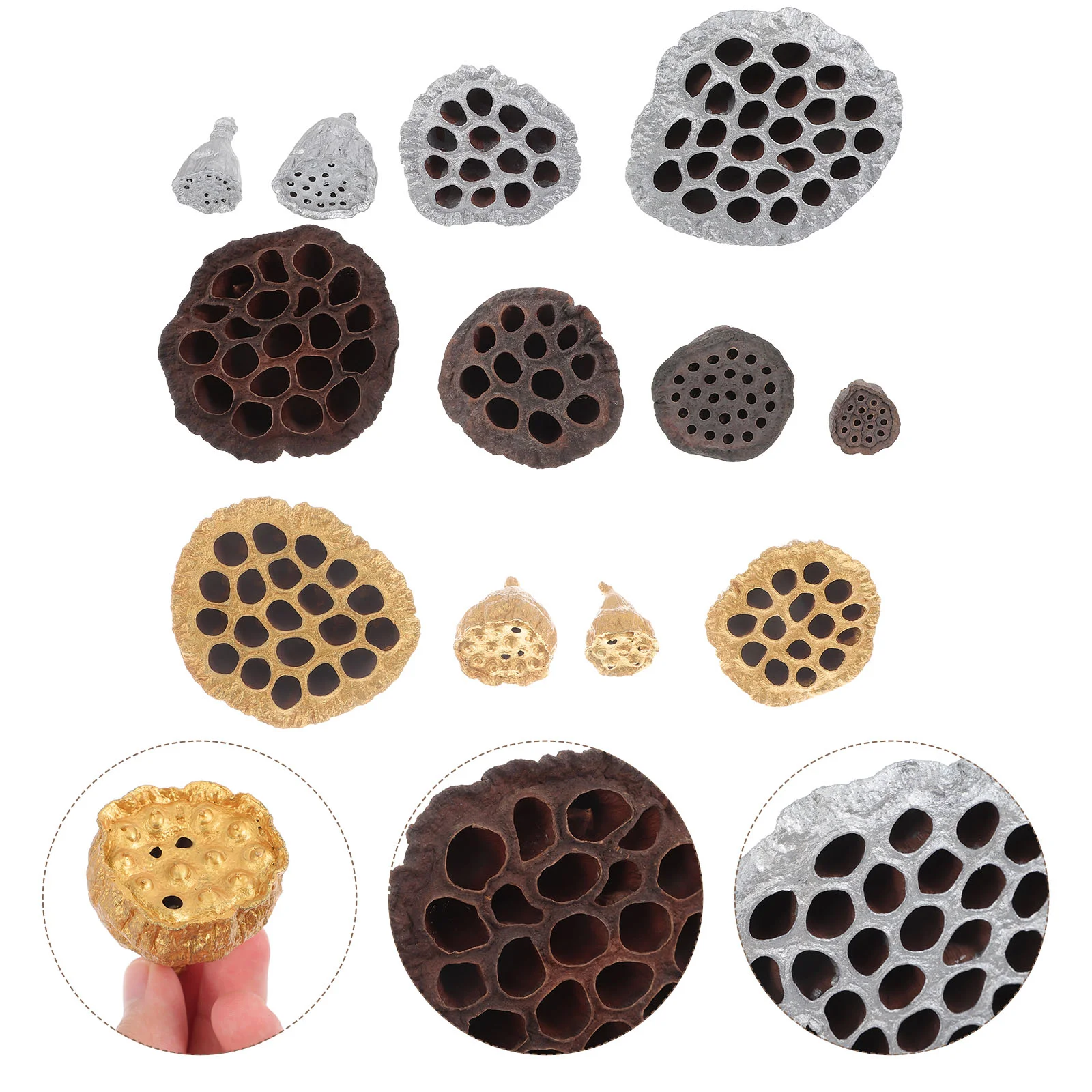 

12Pcs Dried Lotus Seedpod Design DIY Decor Christmas Photo Props Table Desktop Decor