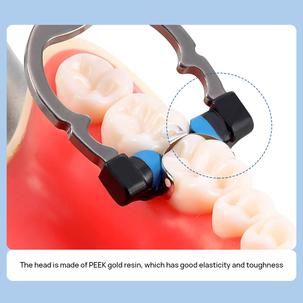 Azdent Dental Sectional Matrix System Set Dental Matrices Clip Ring Matrix Bands Dental Wedges Plastic
