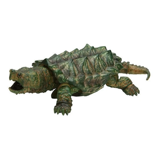 Snapping Turtle Eating Snake
