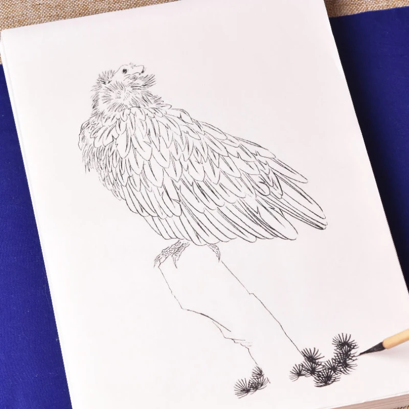 Chinese Baimiao Eagle Crane Painting Album Line Drawing Manuscript Ripe Rice Paper Watercolor Chinese Drawing Paper Papel China