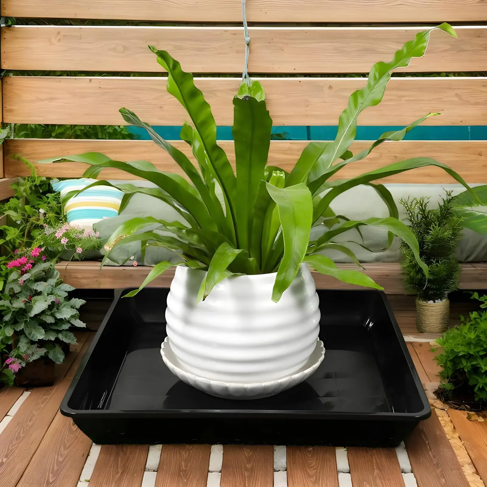 Sottovasi per Piante, Set da 2 Pezzi, Quadrati, per Vasi da Fiori, Sottovasi Raccogligocce per Giardinaggio, Semina, Germinazione, Interni - immagine 2