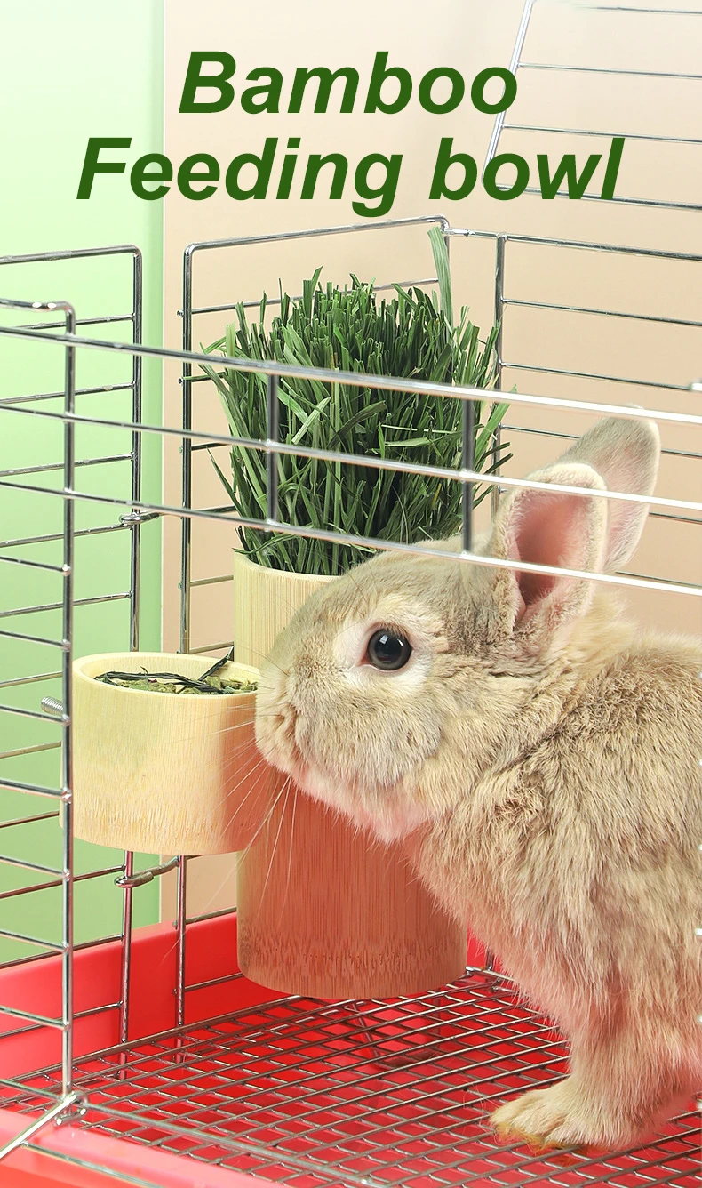 Bandeja Sanitaria Para Conejos Con Drenaje Y Fácil Limpieza