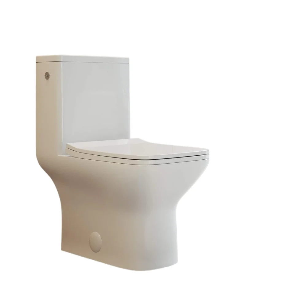 Carre One-Piece Square Toilet Dual-Flush 1.1/1.6 gpf, Touchless White, squat potty, toliet 6
