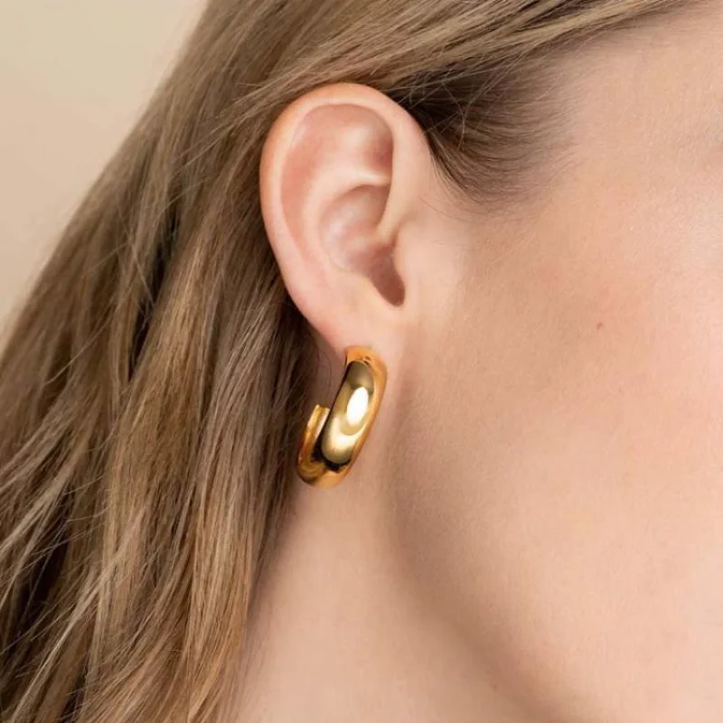 

Personality Big Gold Hoops Earrings Minimalist Thick Tube Round Circle Earrings for Women Zinc Alloy Trendy Hiphop Rock Earrings