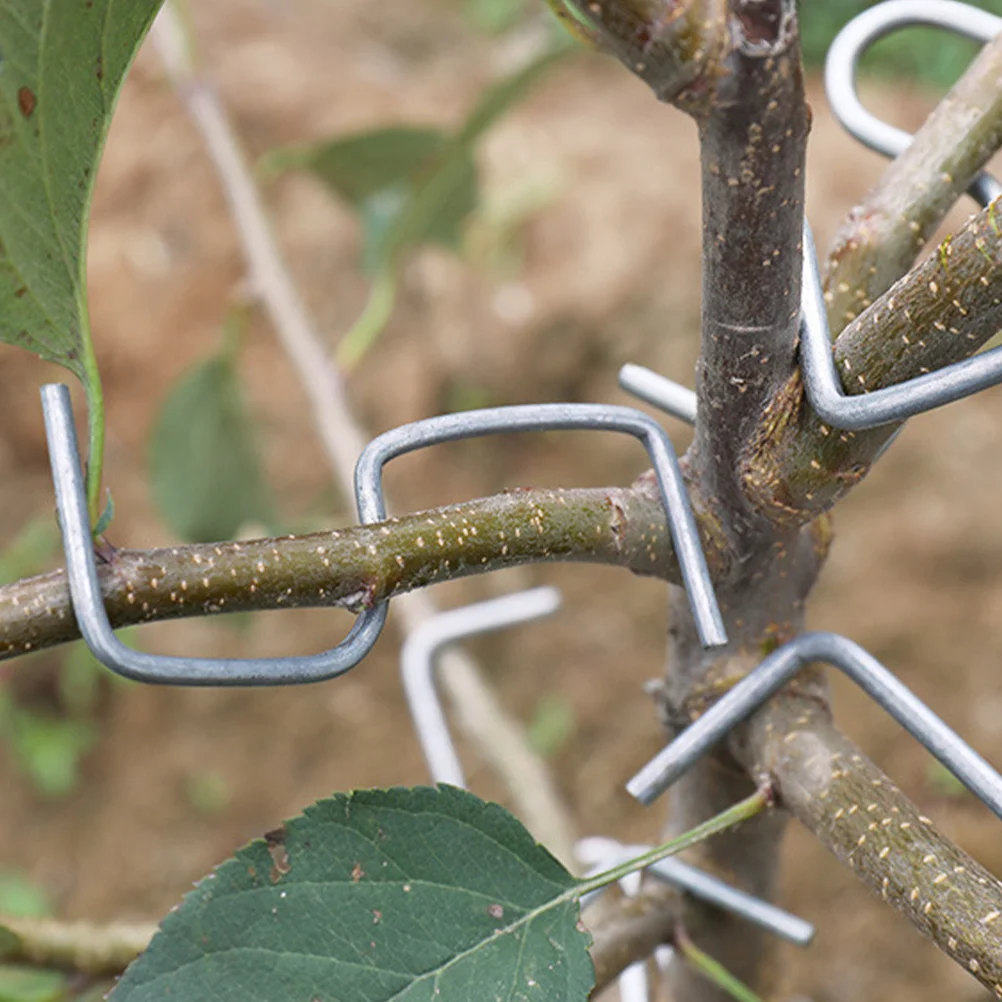 

28Pcs Branch Pullers Plant Branches Bending Clips Branches Shaping Tools