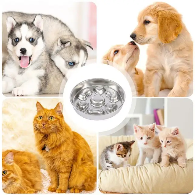 Stainless Steel Slow Feeder Dog Bowl Slow Feed Bowl Pet Stainless Steel Slow Feed Bowl For Dogs Or Cats Slows Down Pets Eating 3