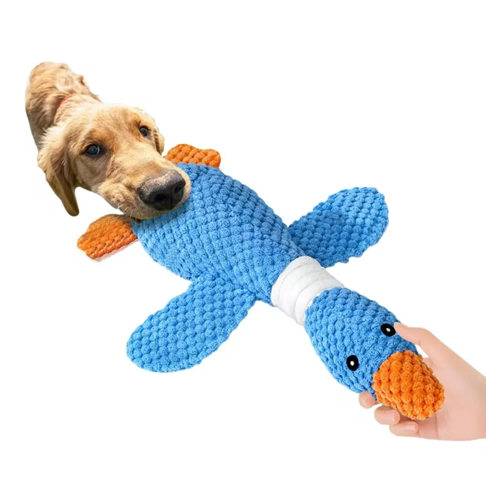 Durable Squeaky Pet Toy 5