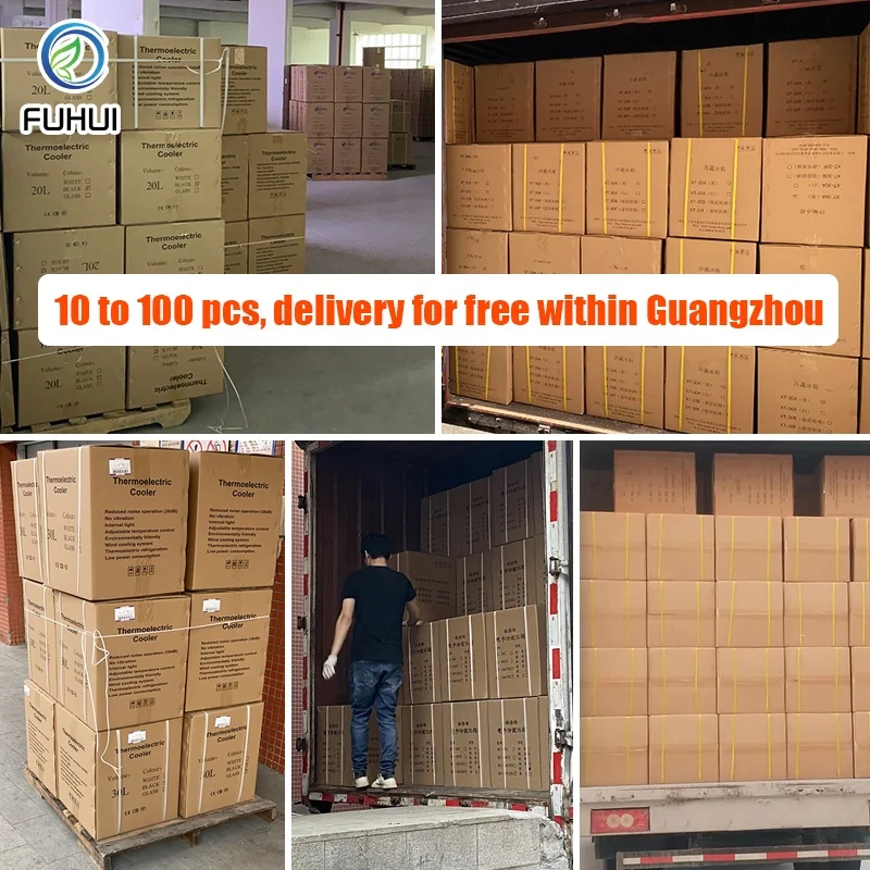30L Glass Door Small Fridge Freezer Mini Car Refrigerator for Bedroom