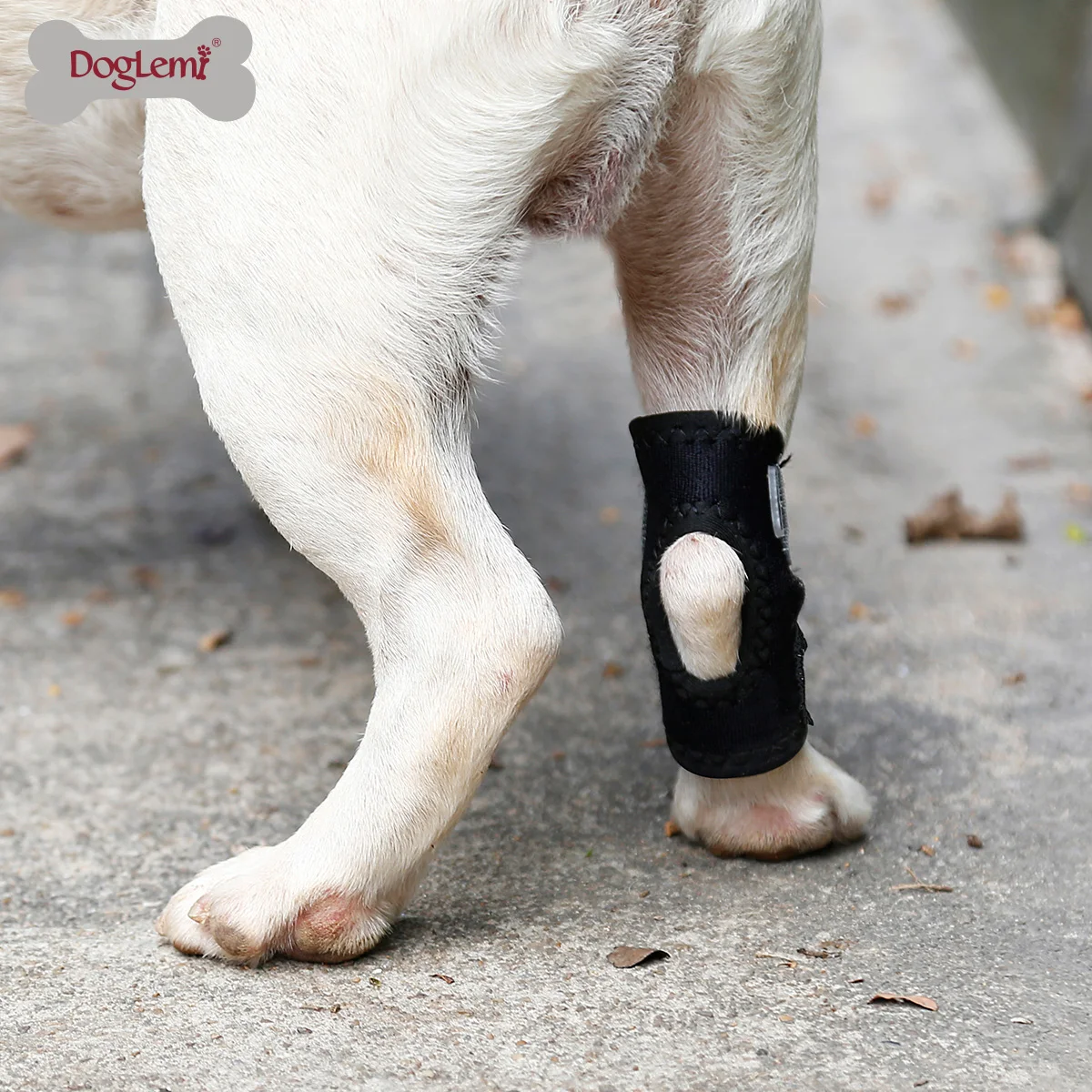 Pet Dog Leg Brace Pet Bandages Knee Hock Straps Protection for Puppy Joint 1pcs of Wrap Dog Medical Supplies