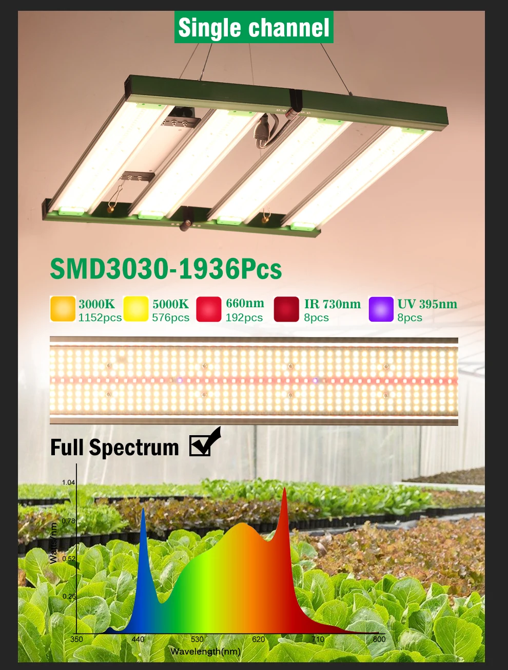 400W SMD3030 LED Wachsen Licht Volle Spektrum Phyto Lampe Quantum LED Wachsen Lampe Für Gewächshaus Hydrokultur Pflanzen Wachstum Licht – Detail 4