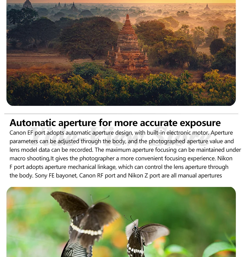 【新品未開封】LAOWA 100F2.8 CA-Dreamer Macro 2X s-l1200.jpg