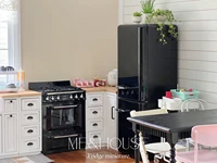 1/6 doll house model  Kitchen appliances refrigerator（ shells need to be used with refrigerator liner，The shell can be replaced） 2