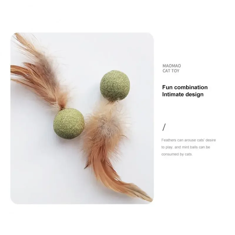 Pet Catnip Toys 2