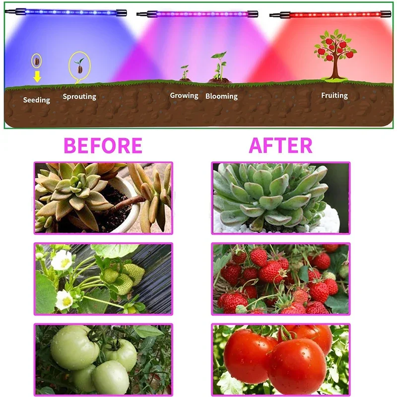 LED USB Full Spectrum Plant Grow Light with Timer - Dimmable Clip Lamp for Indoor Greenhouse Vegetables and Flowers