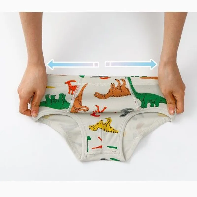 Boys Underwear 5Pcs/Lot Boys Underpants Boys Underwear Cartoon Shorts Panties for Baby Boy Kids Clothes Teenagers Comfortable Briefs