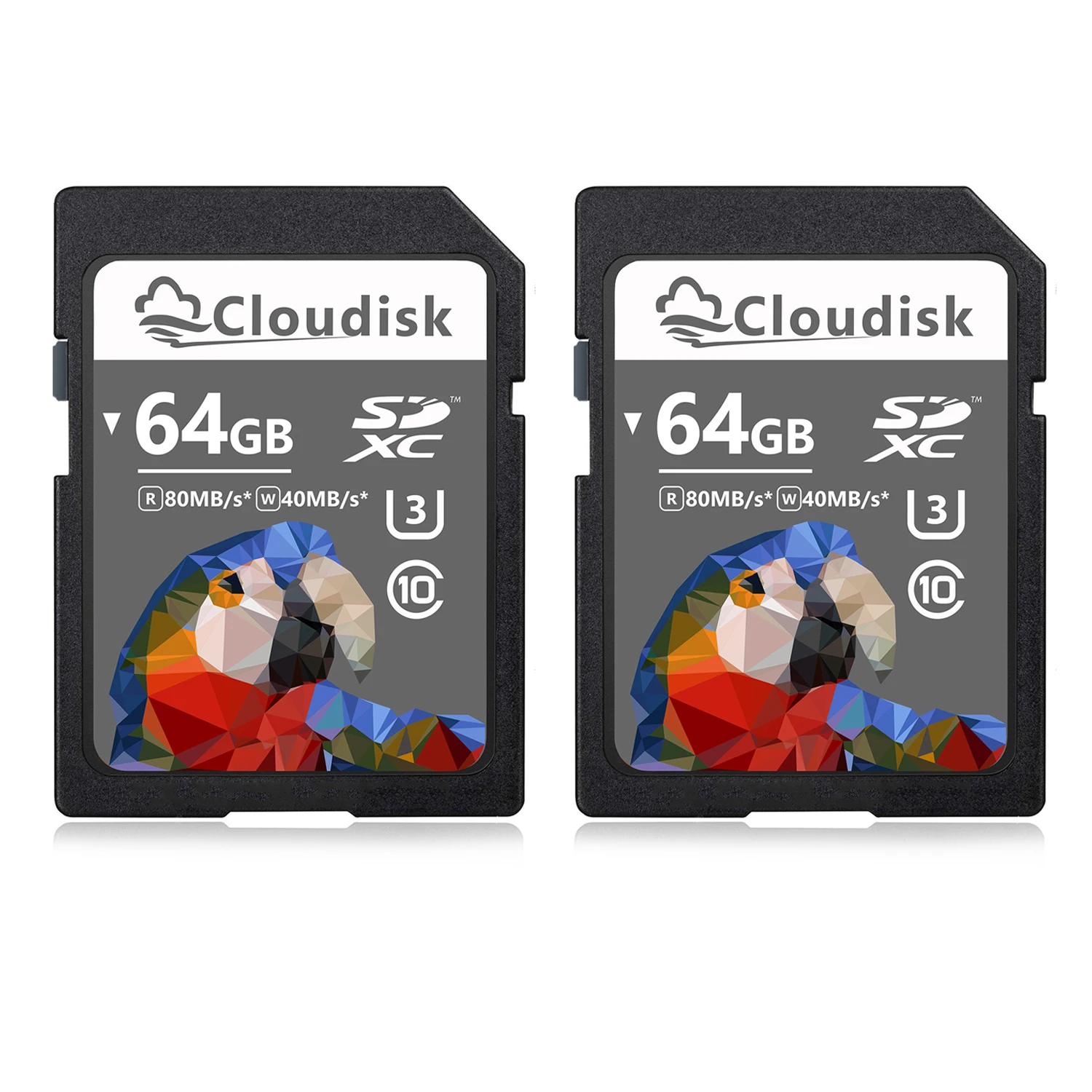 Рисунок 5 - SD-карта Cloudisk
