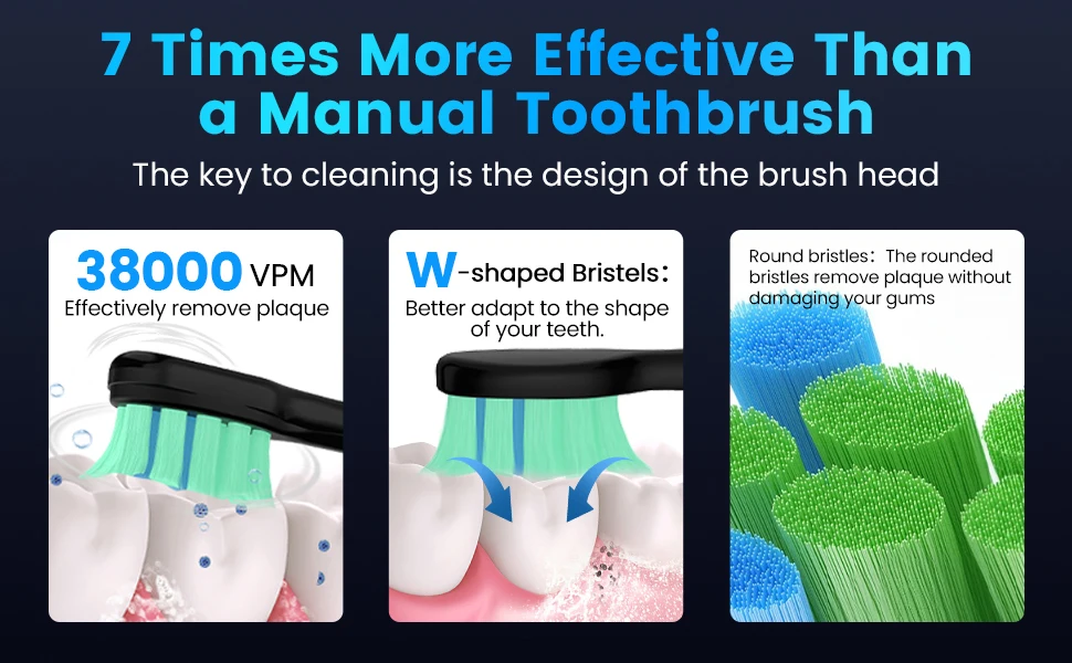 Description Picture 5 of itemSEJOY Oral Cleaning Sonic Electric Toothbrush Personal Care Appliances IPX7 3 Modes Smart Rechargeable Automatic Toothbrush