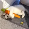 Cat toys, audible carrots, tricks on cats, high-end and boring cat grinding sticks, bite-resistant cat scratch board pet product