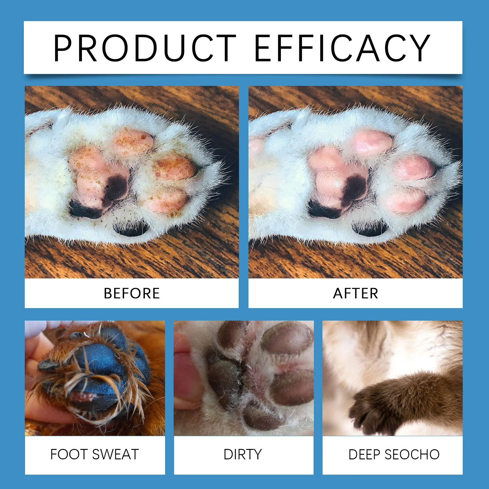 �����̿� �������� ���� ���� �� Ŭ����, �߹ٴ� ��ô ������, ������ �� ������ ����, ���� �ֿϵ��� ��ô ��ǰ