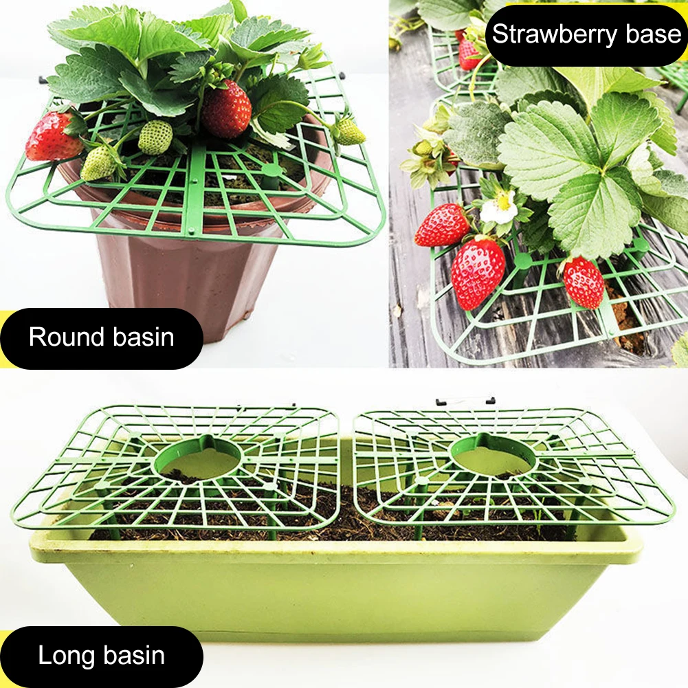 Plant Supports Strawberry 4 Support Feets Strawberry Growing Racks For Protecting Vines Avoid Ground Gardening Tool 5/10Pcs