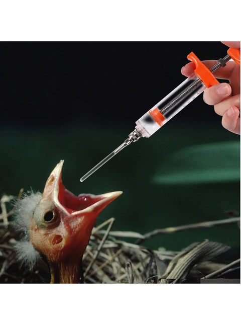 Feeding Syringe Manual Feeding Rearing Gavage Silicone Feeding Hose Medication Tube Small Pet Parrot Feeding Syringe 4