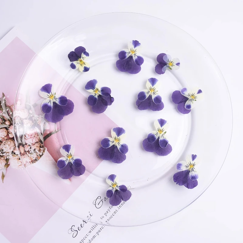 24 Stück, Natur Corydalis getrocknete Blütenblätter Make-up DIY Epoxy Handytasche Grußkarte Lesezeichen Pflanze Fotorahmen Kuchen Dekoration
