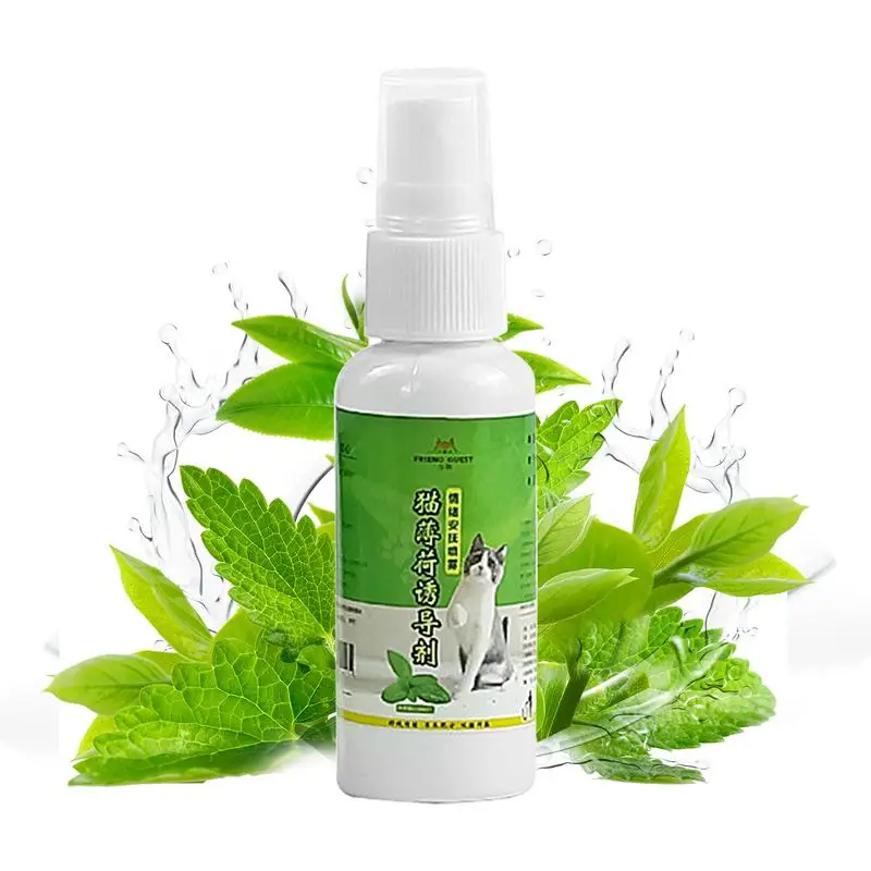 

50ml Cat Catnip Spray Healthy Ingredients Catnip Spray For Kittens Cats & Attractant Easy To Use & Safe For Pets Gifts For Pets