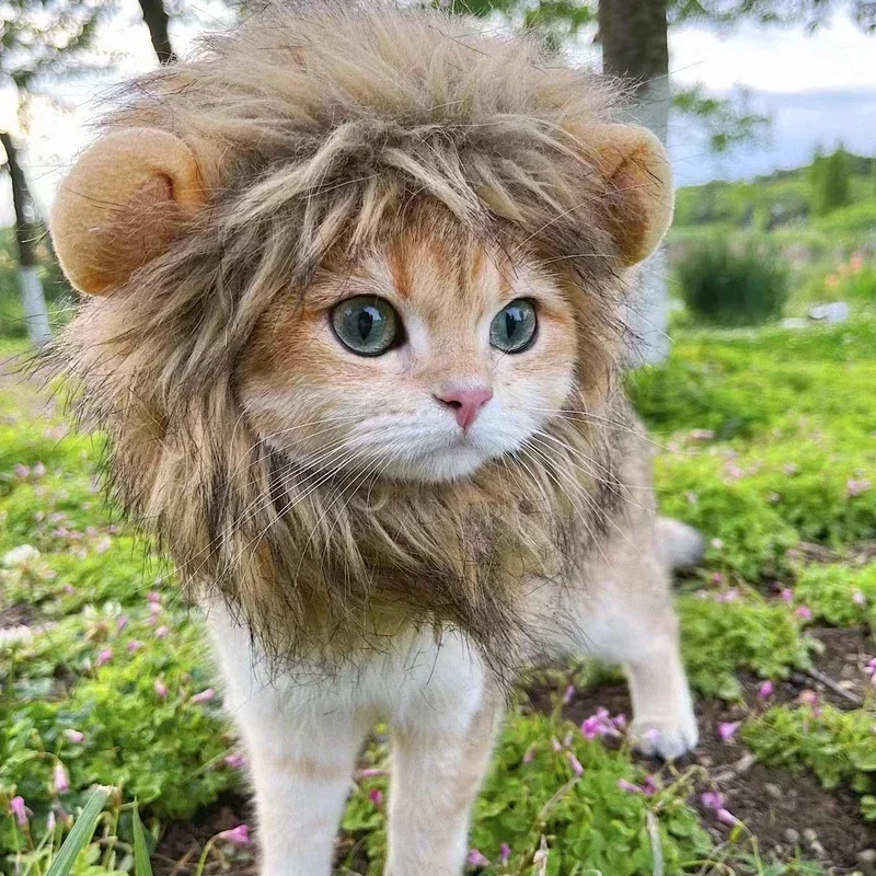 Lion Mane Hat for Cats 2