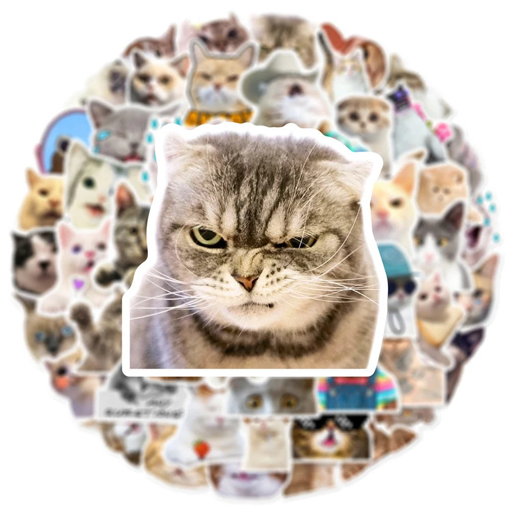 10/30/50pcs 귀여운 동물 고양이 재미 있은 새끼 고양이 MEME 낙서 스티커 스케이트 보드 기타 스크랩북 노트북 장식 스티커 데칼