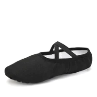 Girls Ballet Shoes For Woman Kids Ballet Slippers Women Ballet Flats Children Practise Dance Shoe Soft Sole Canvas Training Shoe