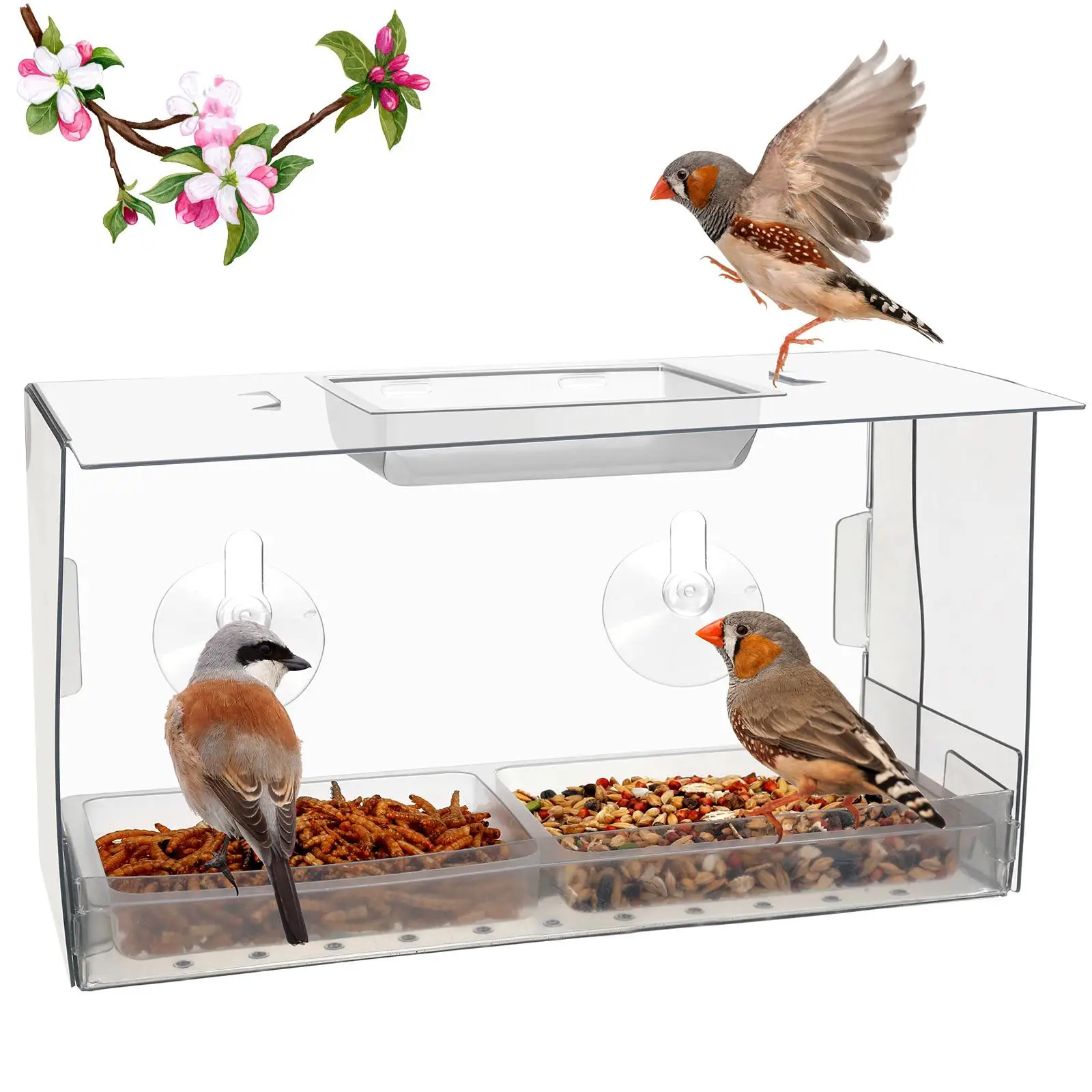 Window Bird Feeder Bird Watching Outdoors Birdfeeder Clear House for Wild Birds Bluebird Chickadees Viewing Finches