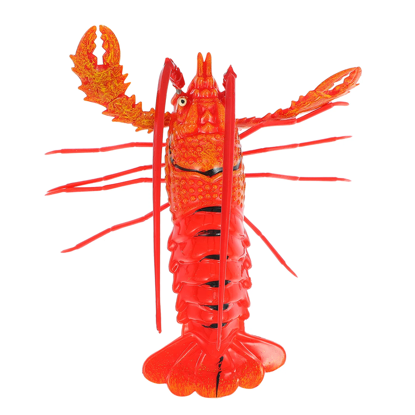 

Funny Red Lobster Fridge Magnet Premium Plastic Refrigerator Magnet for Adorable Home Decor and Memos
