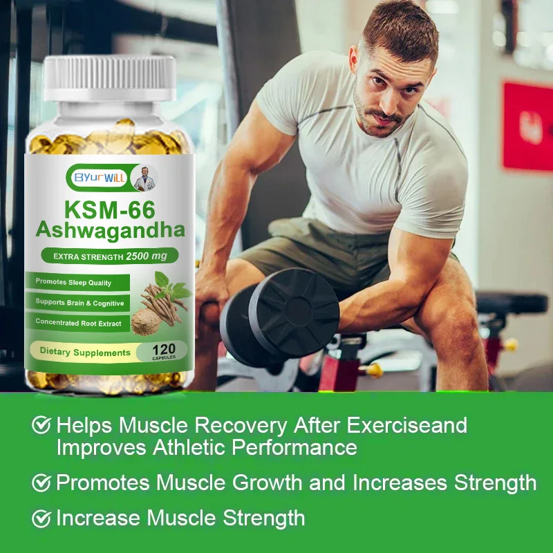 Natural KSM 66 Ashwagandha Supplement Improves Vitality Energy Levels Exercise Endurance Adult ashwagandha supplement