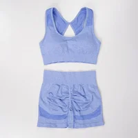 Women's Seamless Yoga Set Hollow Back Bra and Shorts