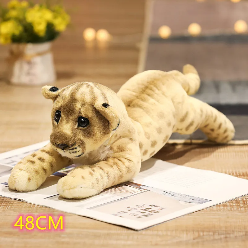 48cm lion