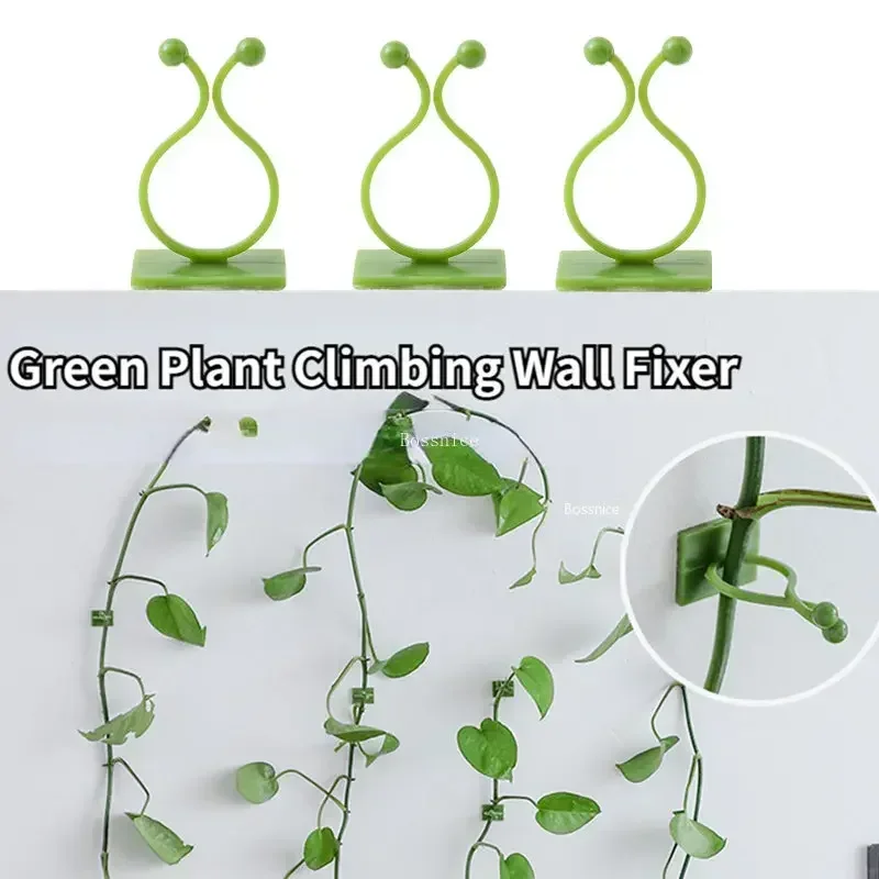 Plant Climbing Wall Clips 20Pcs Self-Adhesive