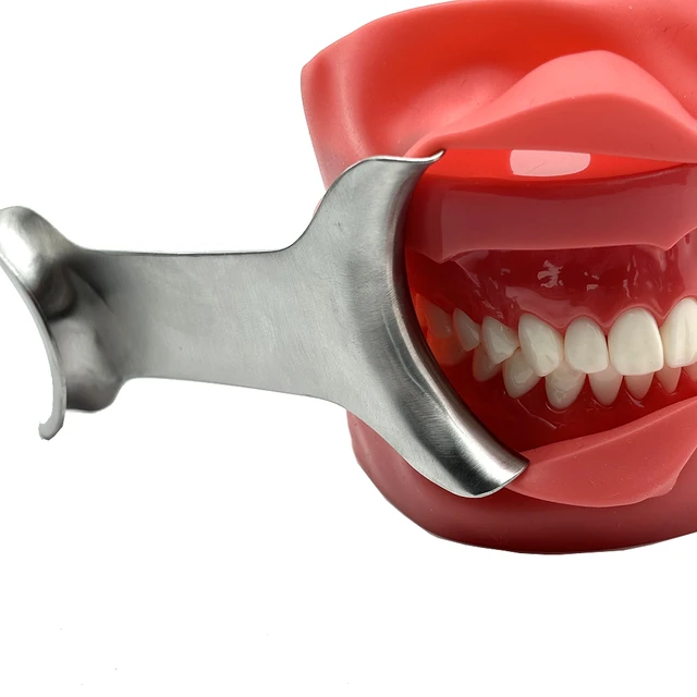 Strumento Dentale Doppia Testa Apribocca Dentale (retrattore Labbra) In Acciaio Inox A Doppia Testa, Per Uso Dentistico O Estetico Correttore Viso - Foto 6