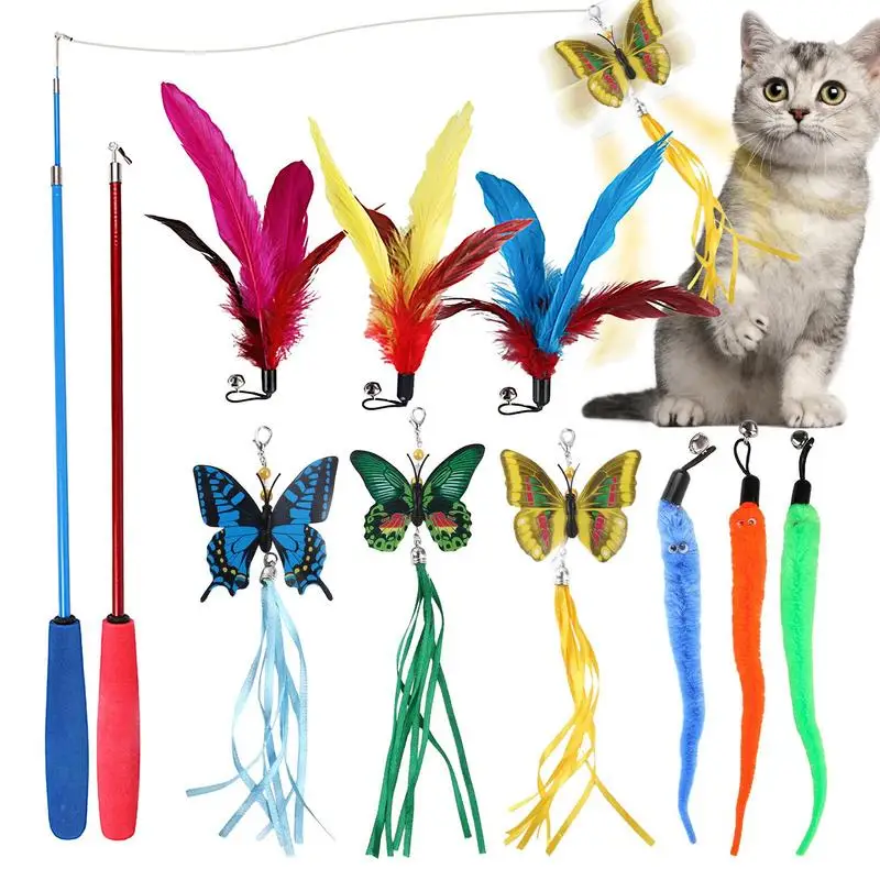 

Kitten Toys Cats Toys Interactive Feather Colorful 11pcs Safe Pet Supplies For Homes Veterinary Hospitals Pet Owners Living