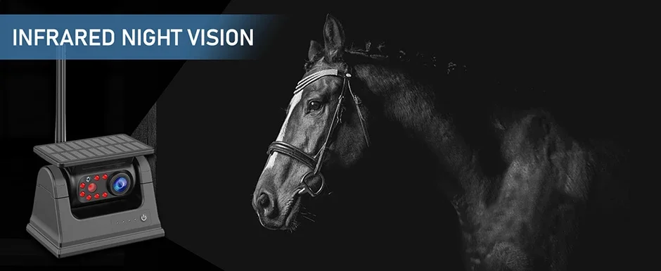 Night vision LED array