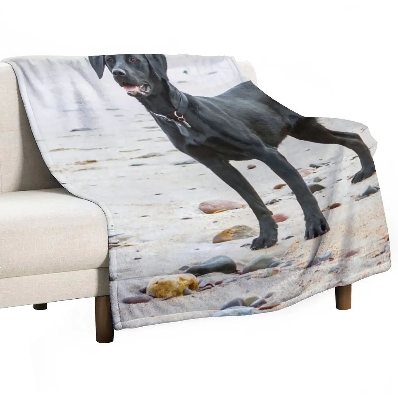 

Black Labrador dog on the beach Throw Blanket Extra Large Throw Stuffeds Quilt Blankets