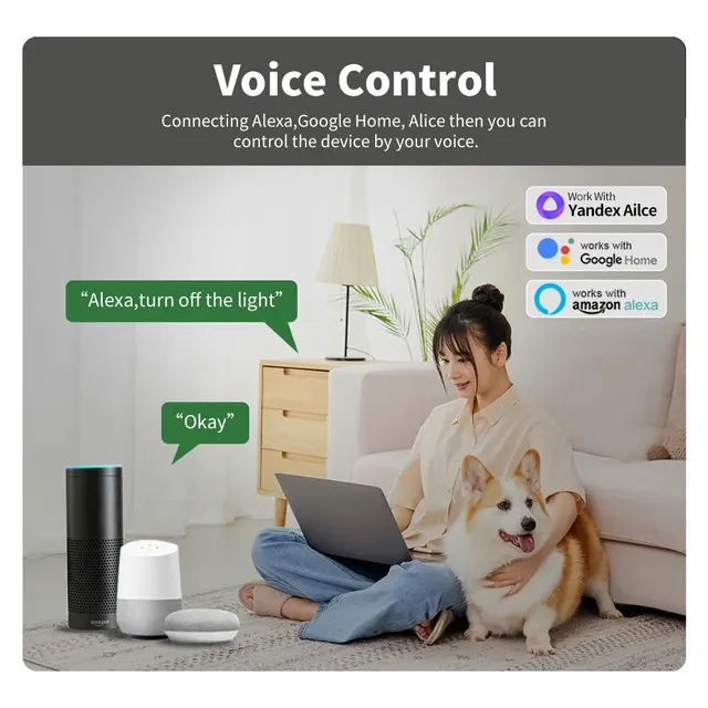 Tuya 16A WiFi Mini Smart Switch Module Support 2 Way Control Smart Home DIY Switches Smart Life APP for Alexa Google Home Alice 3