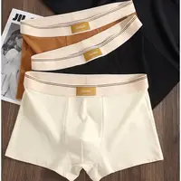 Sous-vêtements en coton respirant pour hommes, culottes confortables, boxer sexy, short document solide, 3 pièces 1