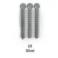Silver 13